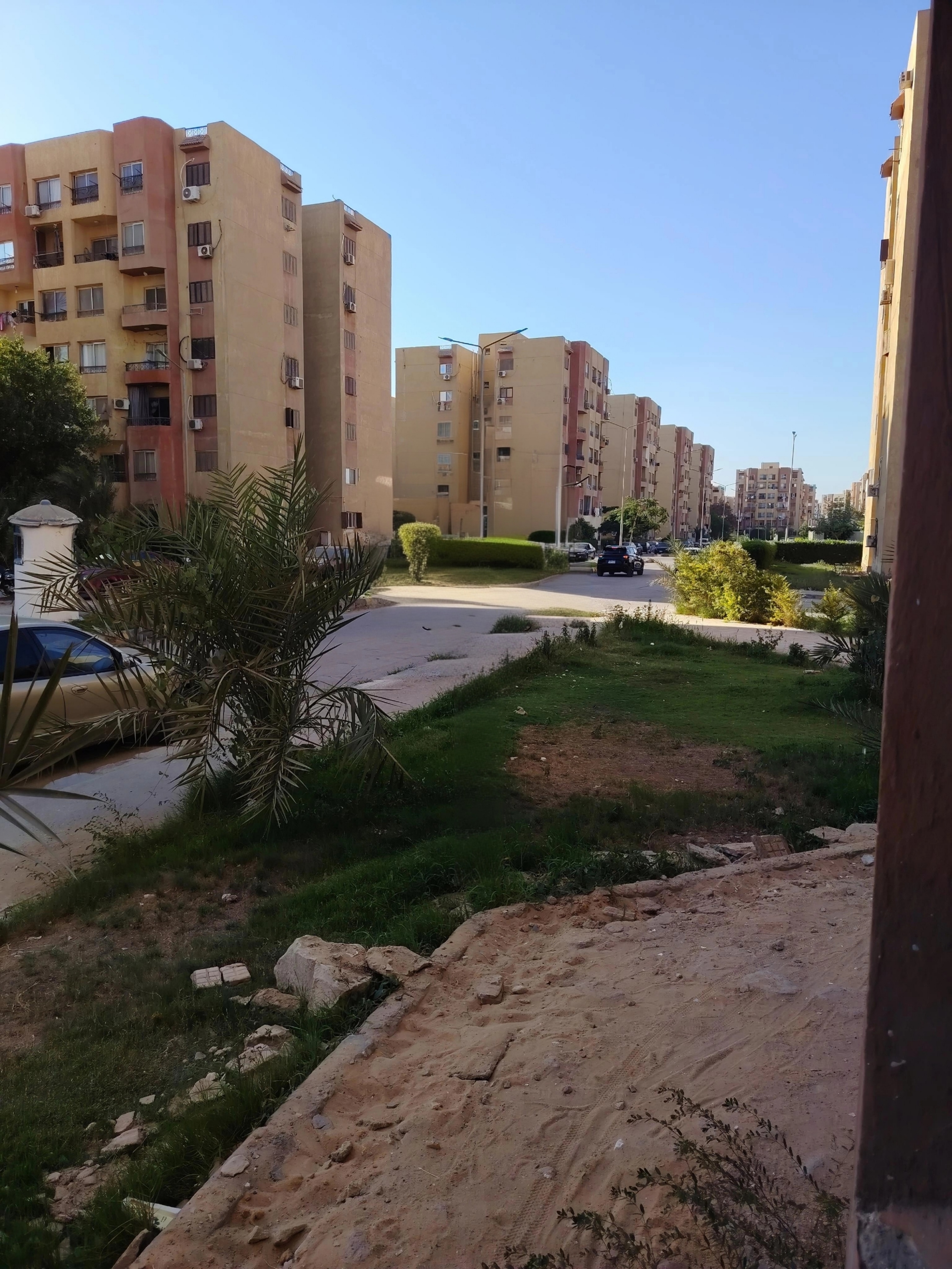 صورة 3