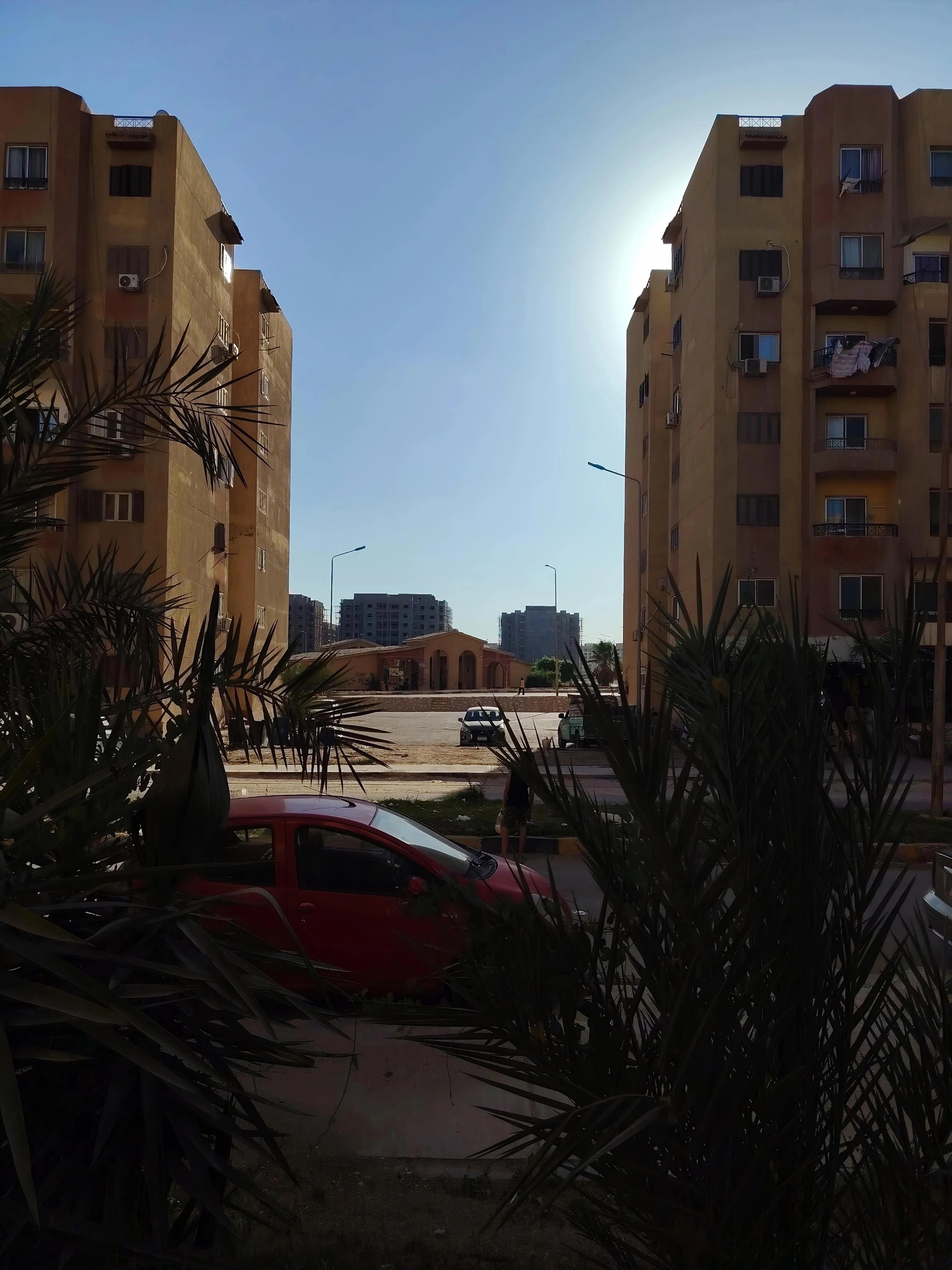 صورة 4