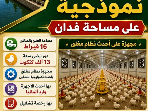 بلقاس الدقهليه