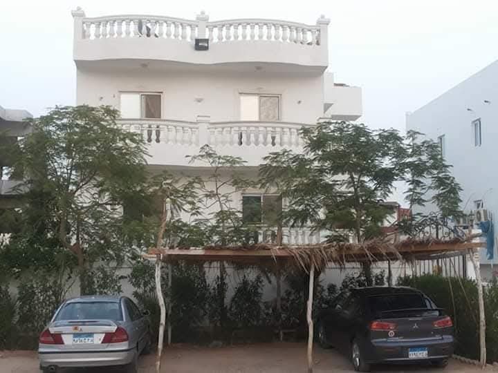 صورة 2