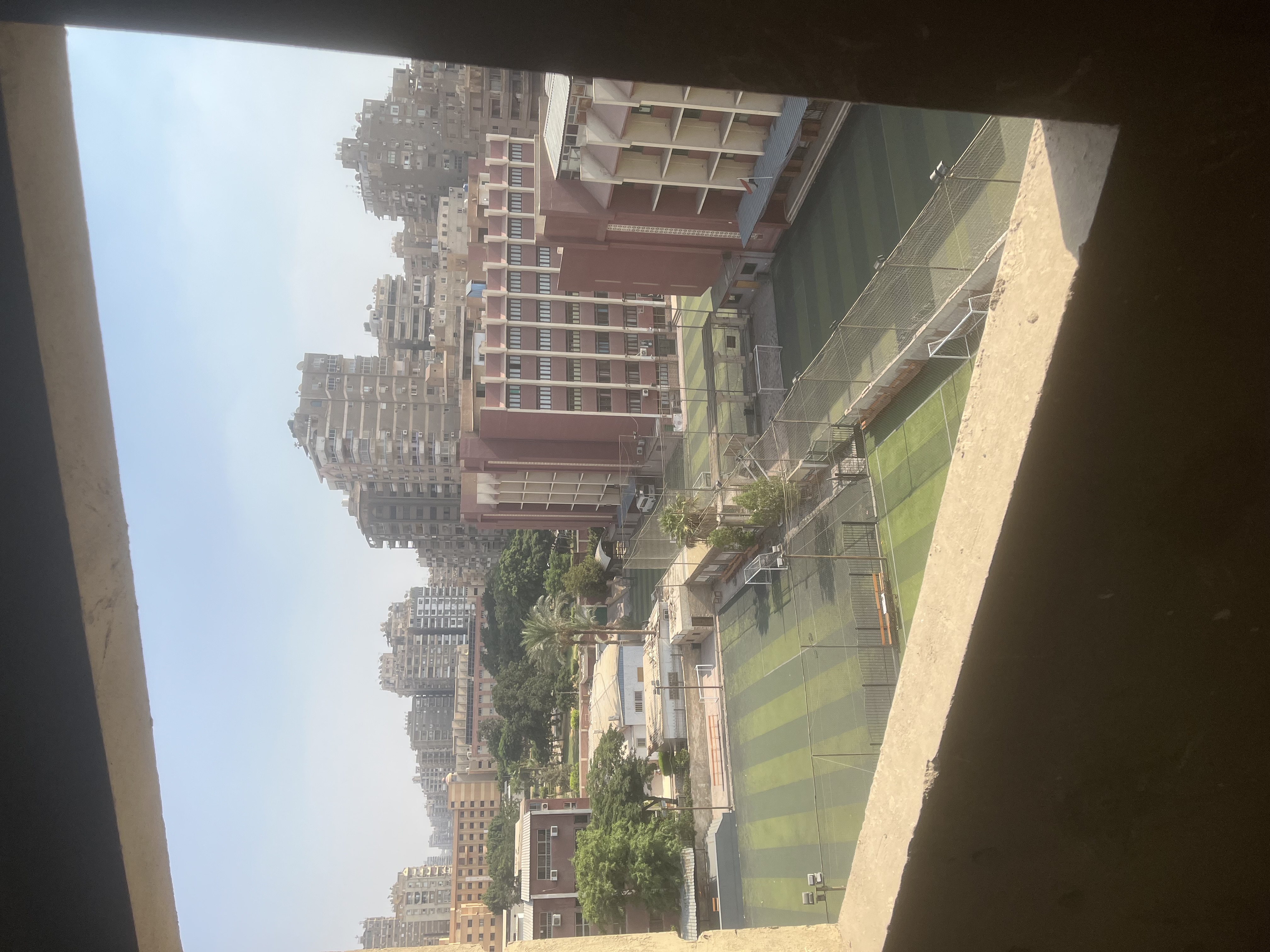 صورة 6