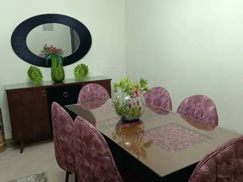 سفرة زيرو لم تُستخدم نهائيًا - بحالة المعرض