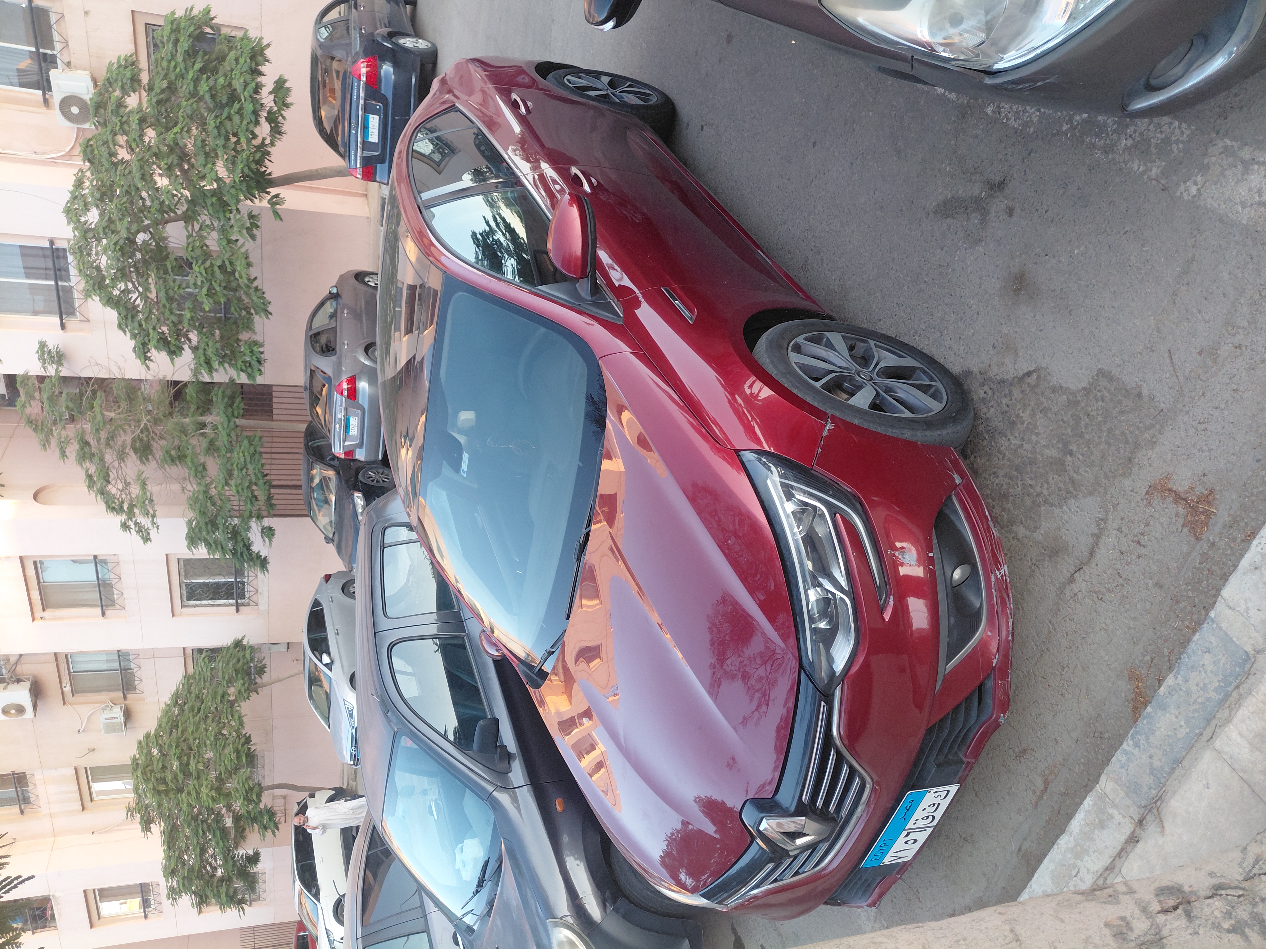 صورة 4