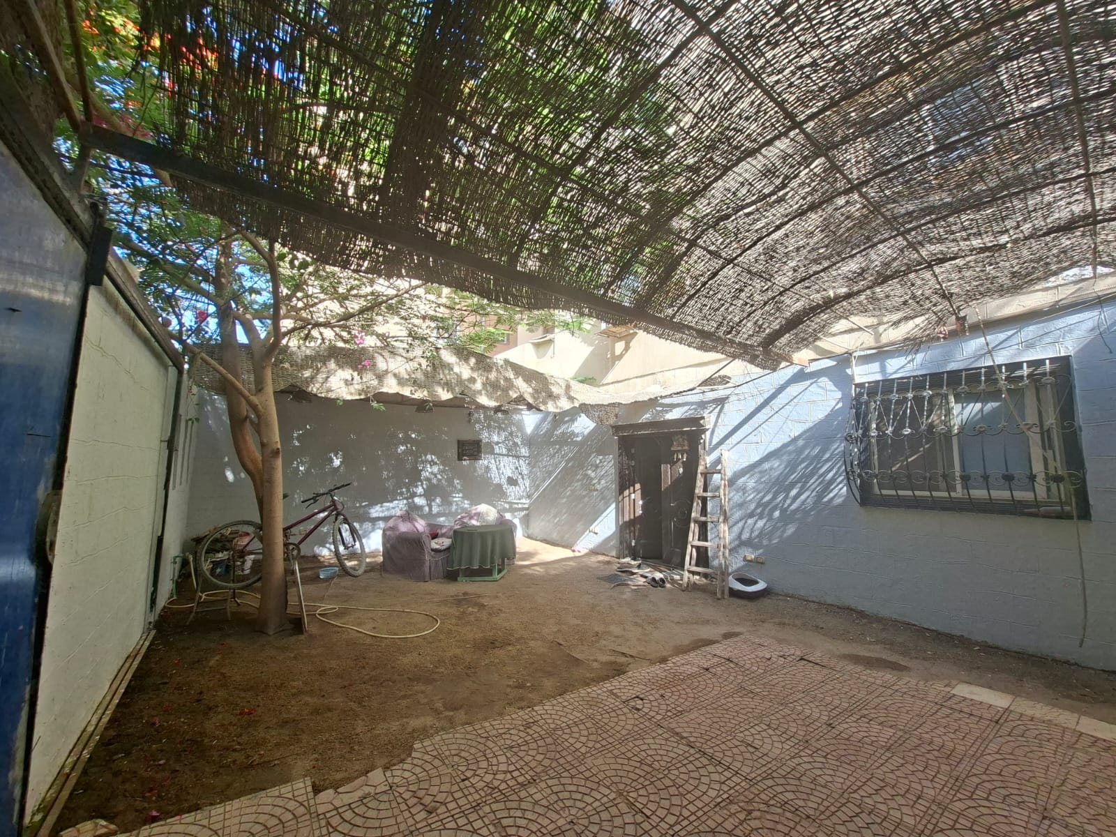 صورة 2
