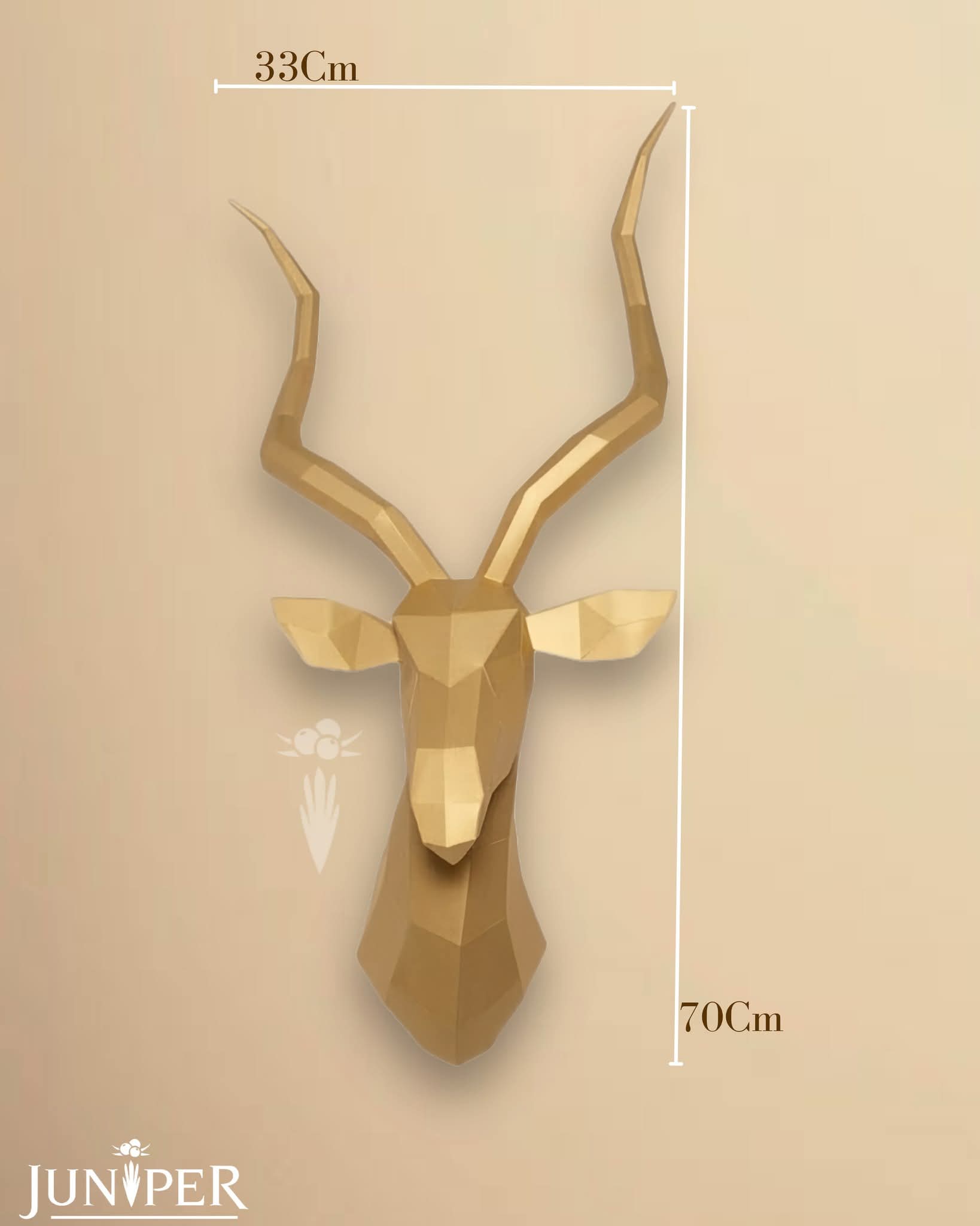 صورة 3