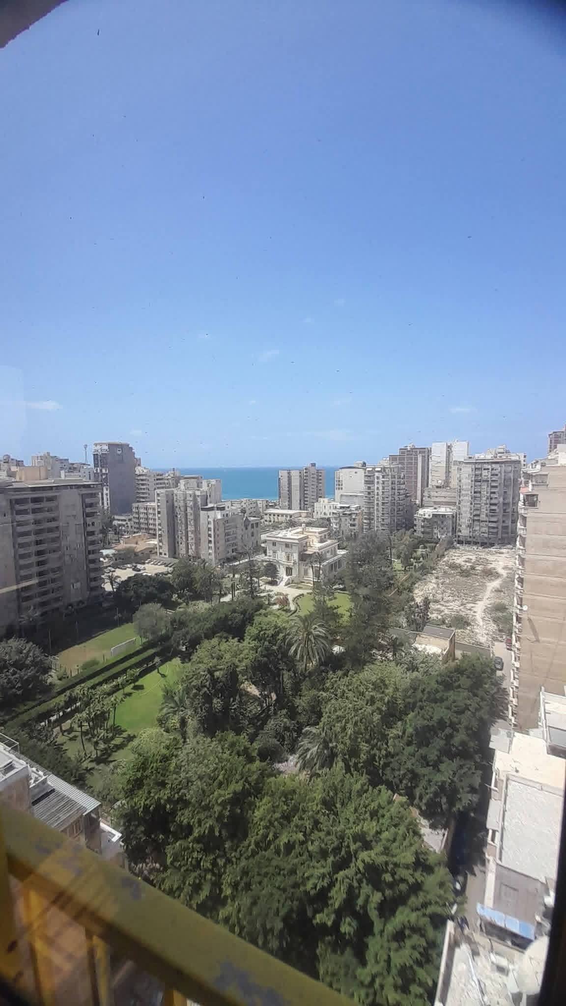 صورة 3
