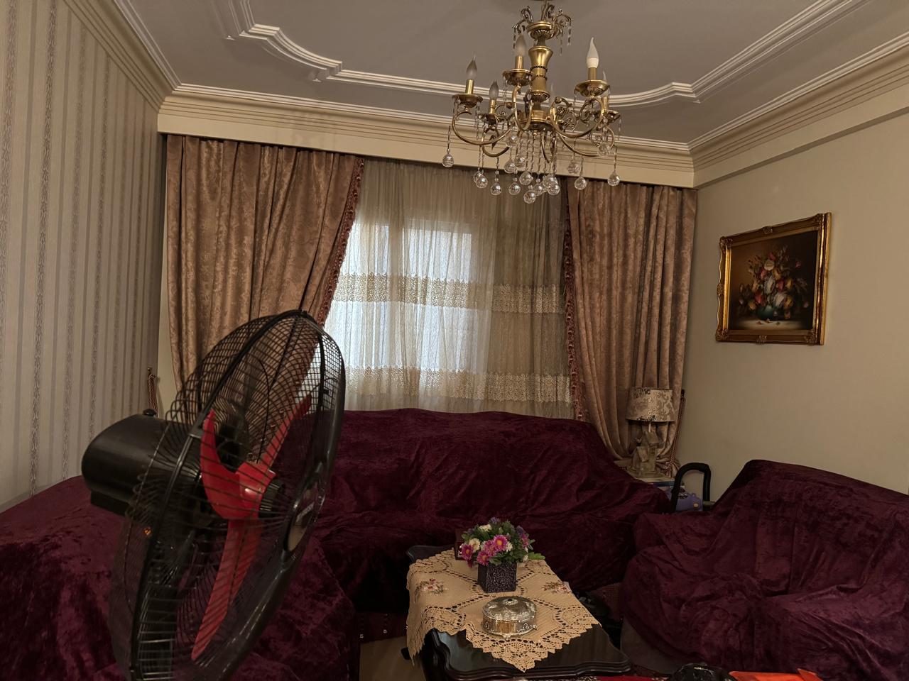 صورة 7