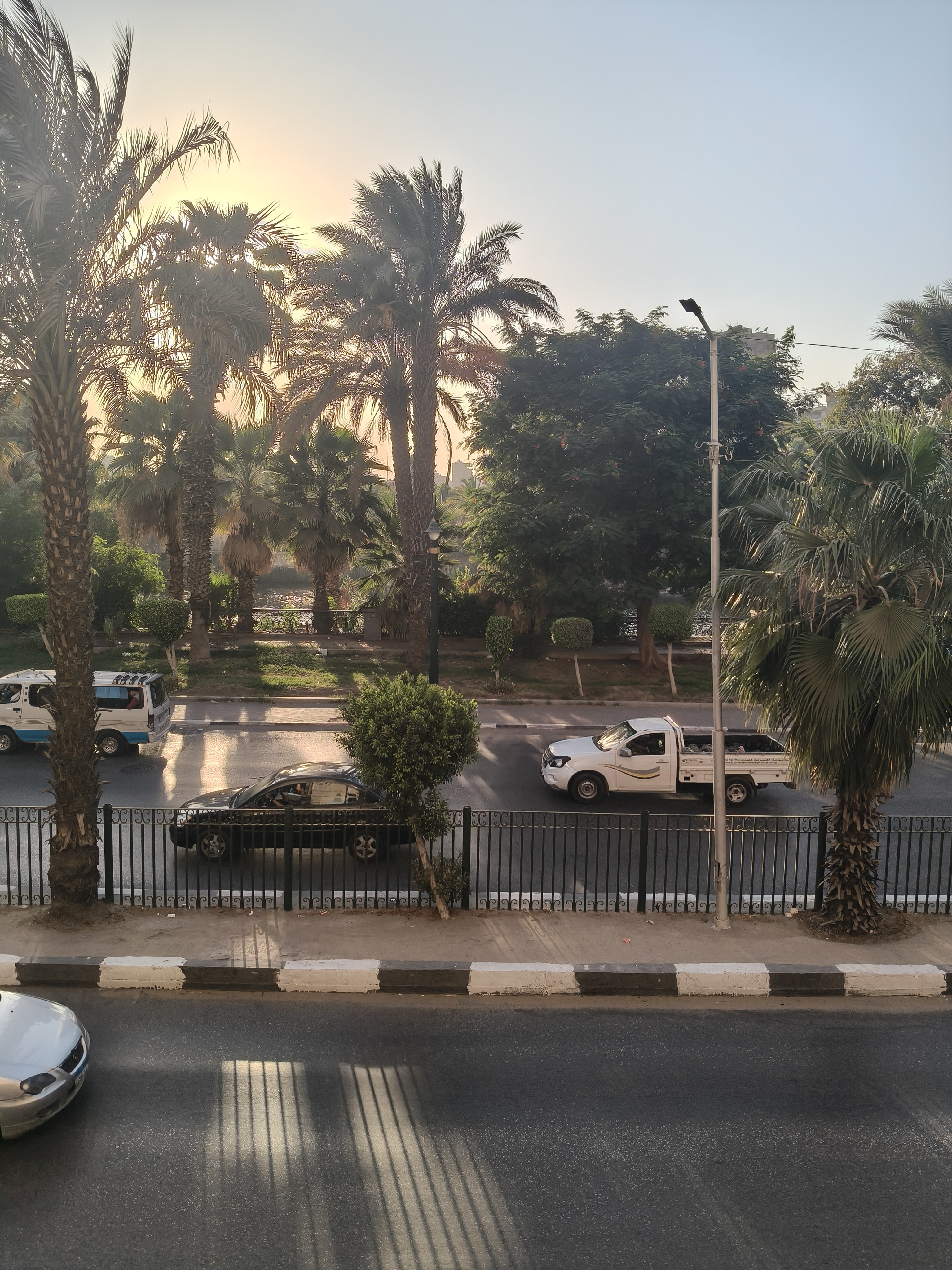 صورة 6