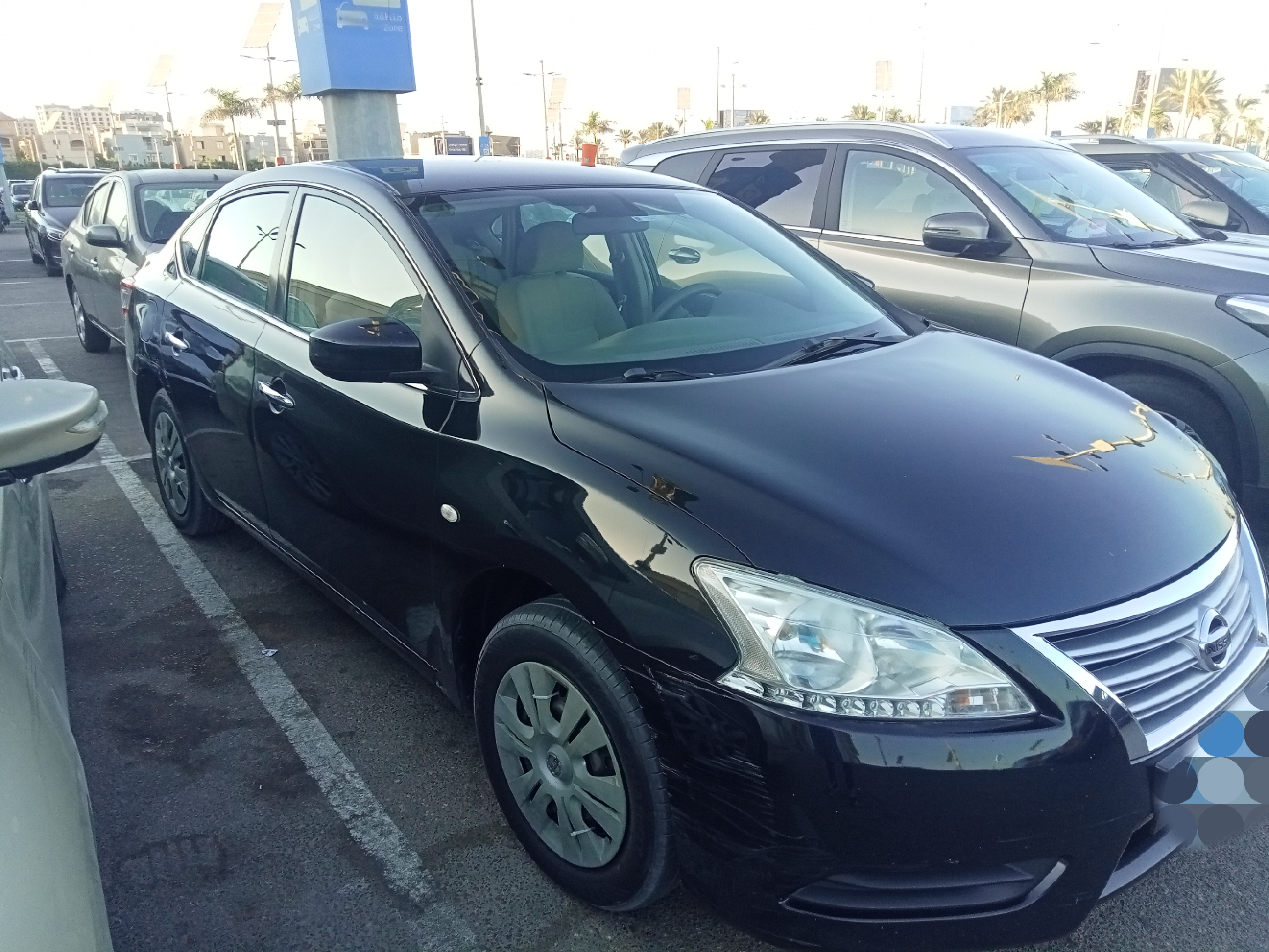 صورة 3