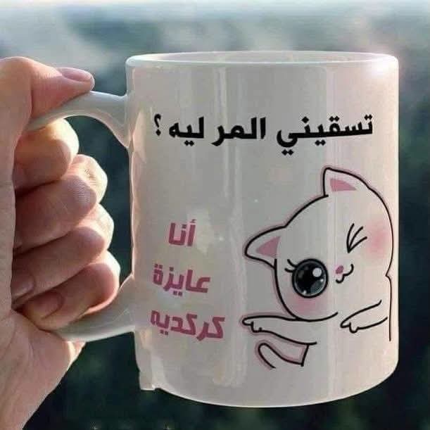 صورة 7