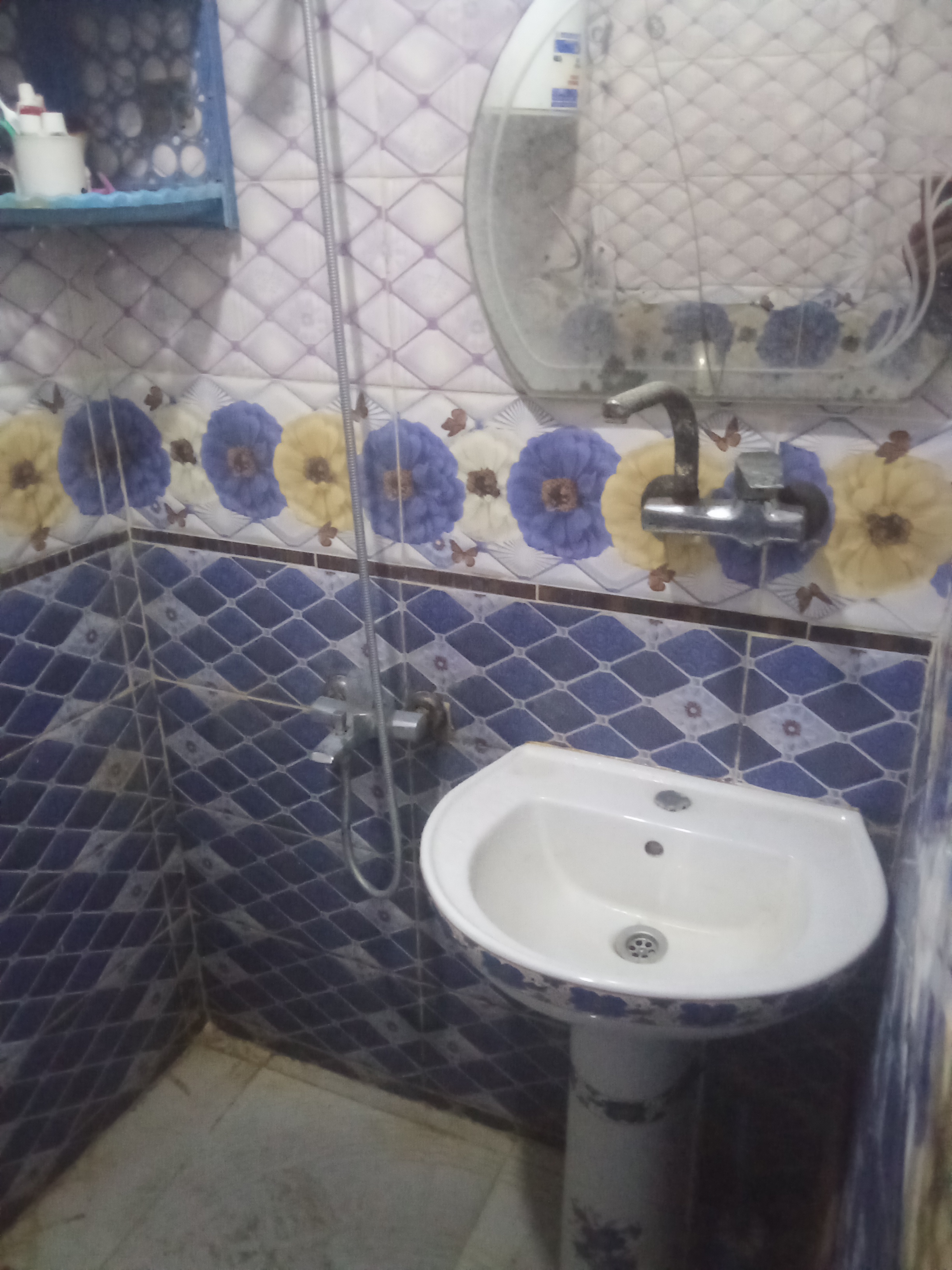 صورة 2