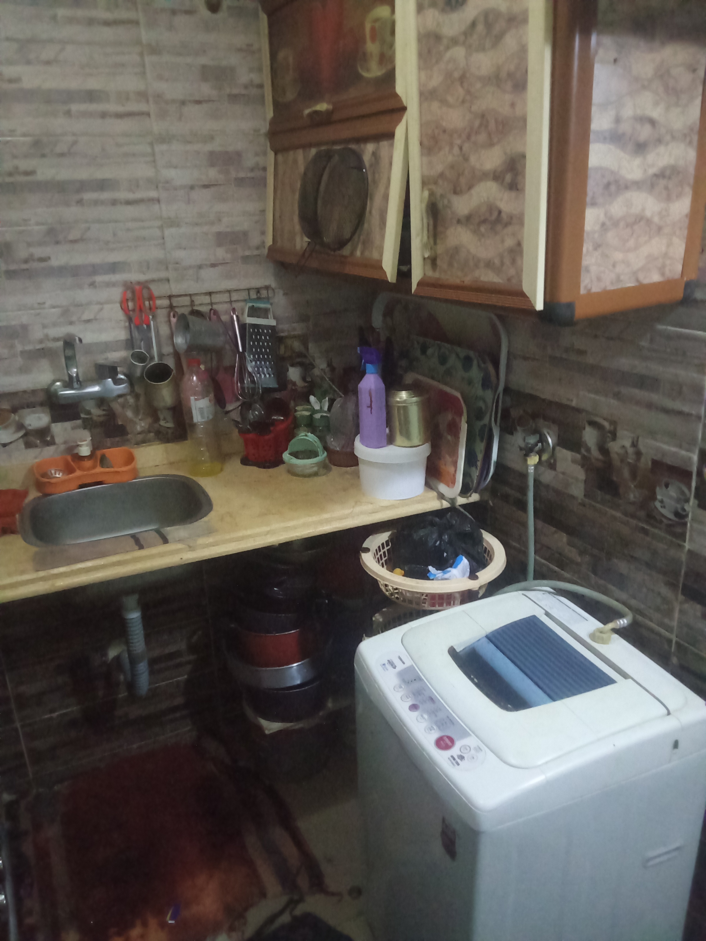 صورة 6