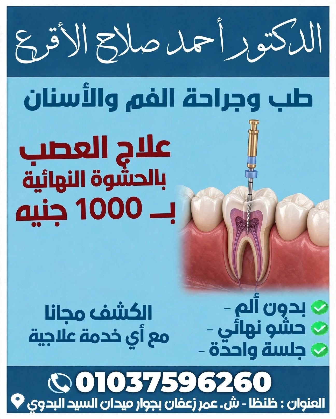 صورة 6