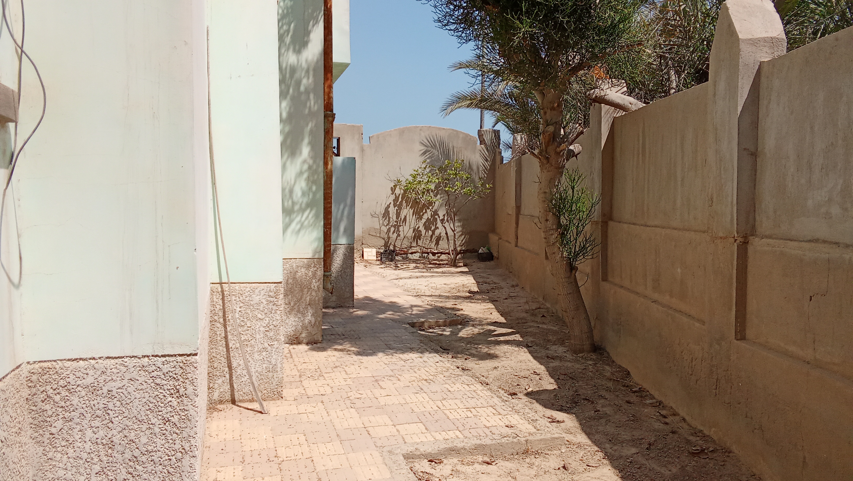 صورة 2