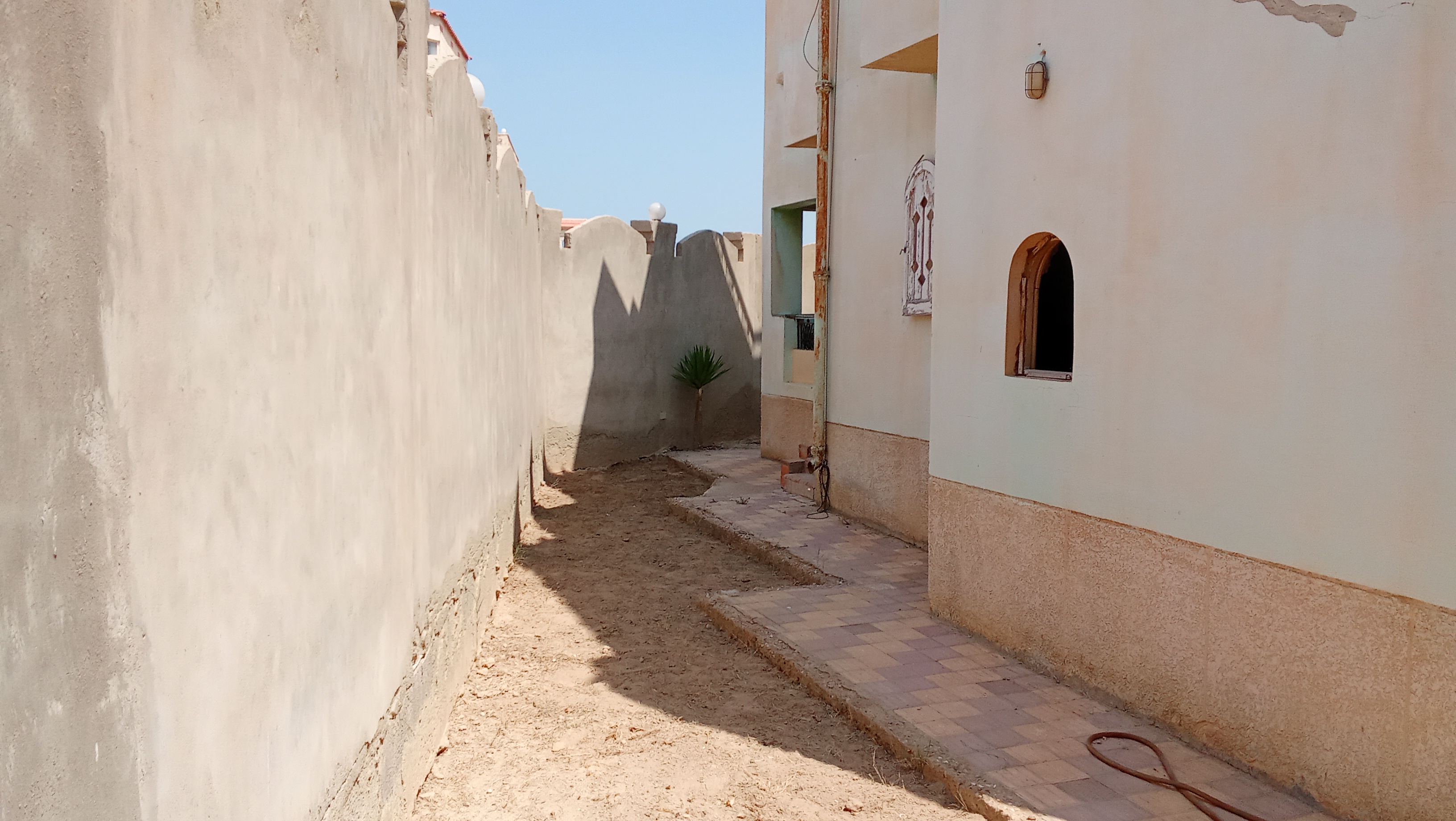 صورة 3