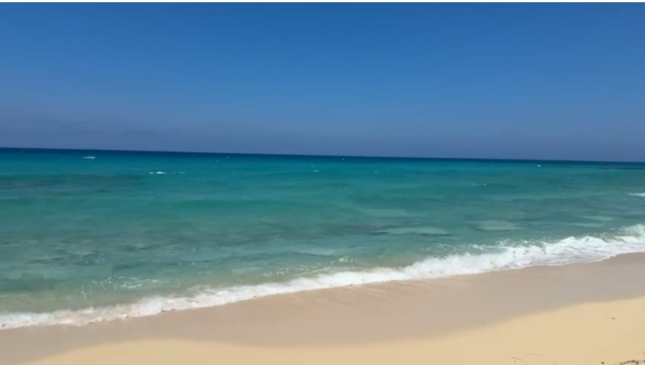 صورة 2