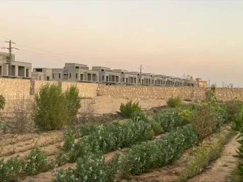 ارض للبيع بالشيخ زايد 10 فدان