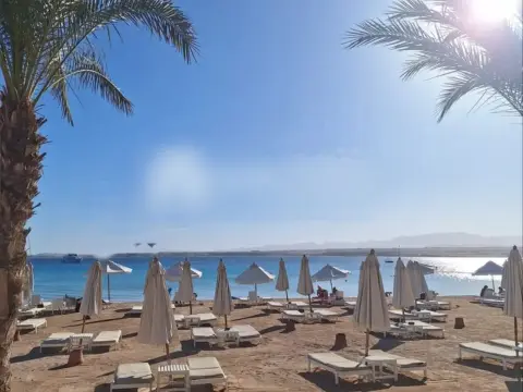 للبيع استوديو في سهل حشيش