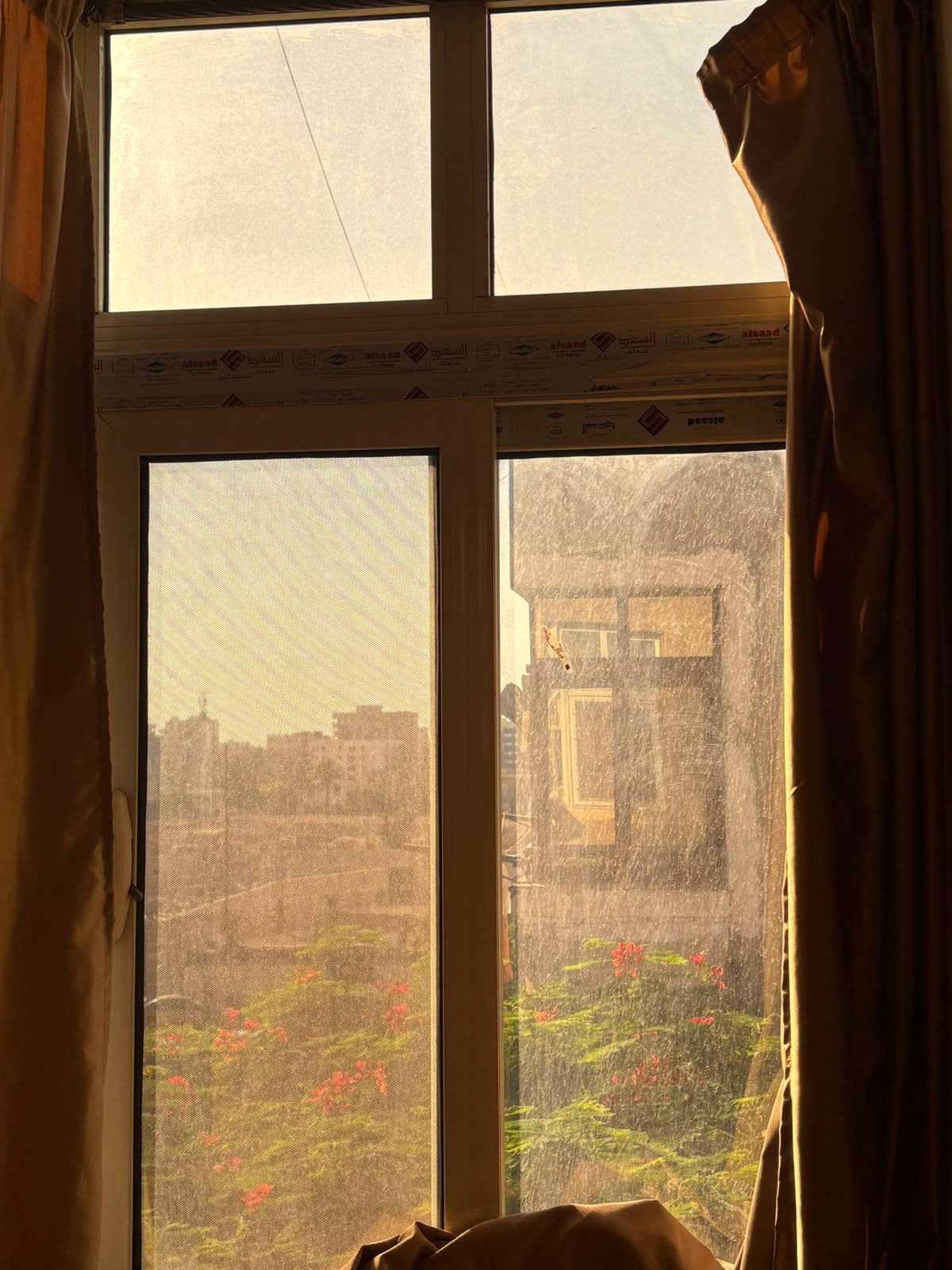 صورة 2