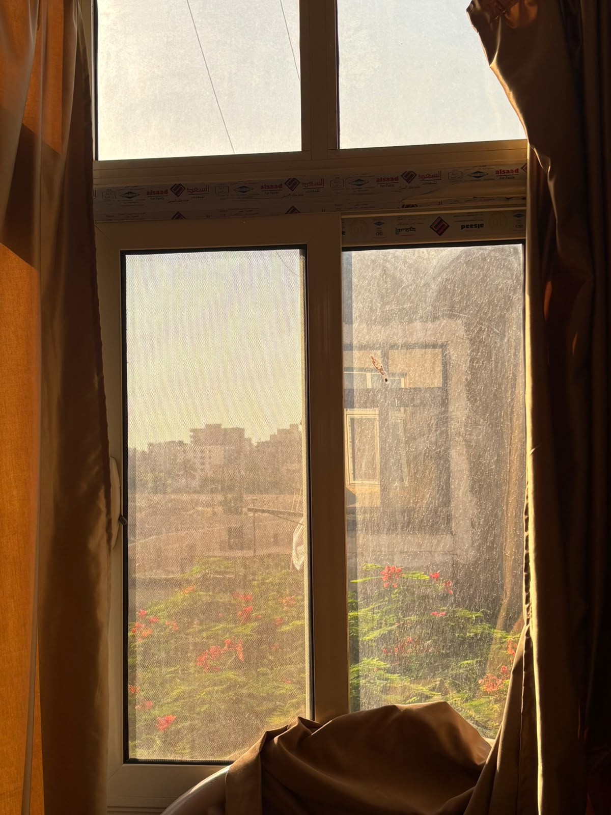 صورة 3