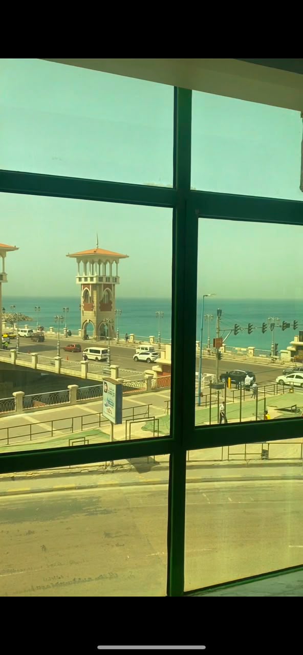 صورة 4