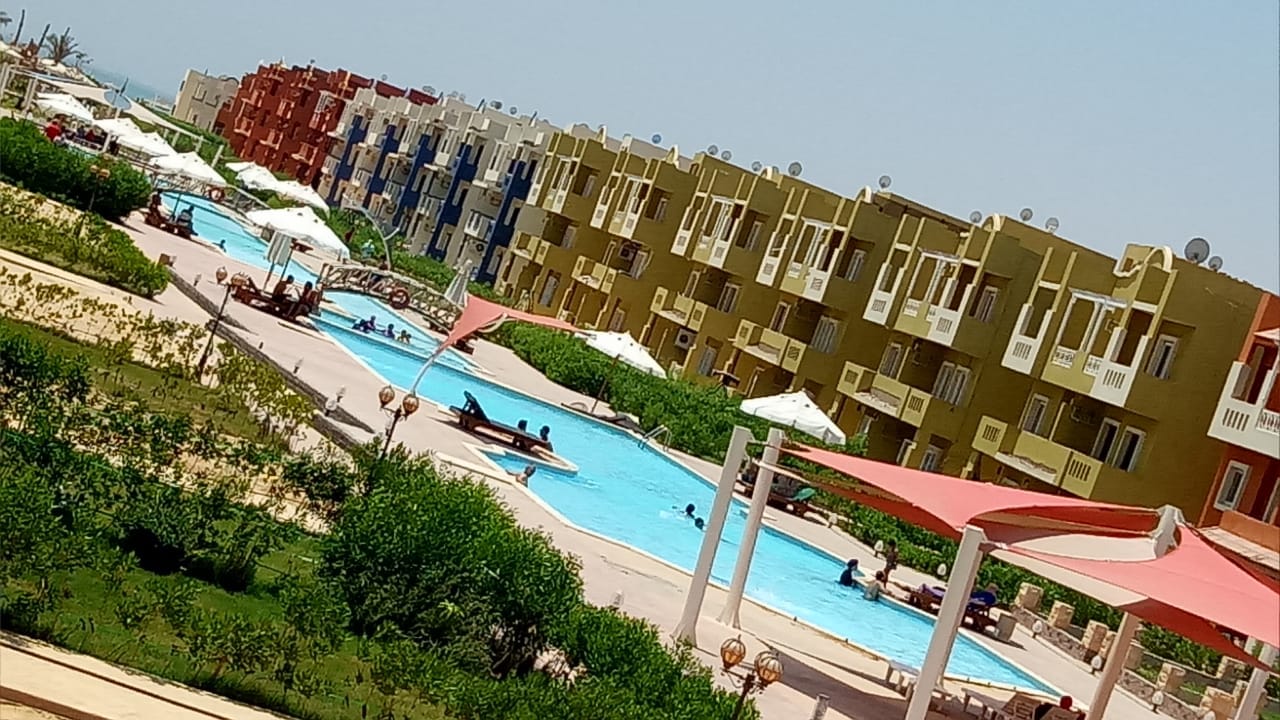 صورة 4