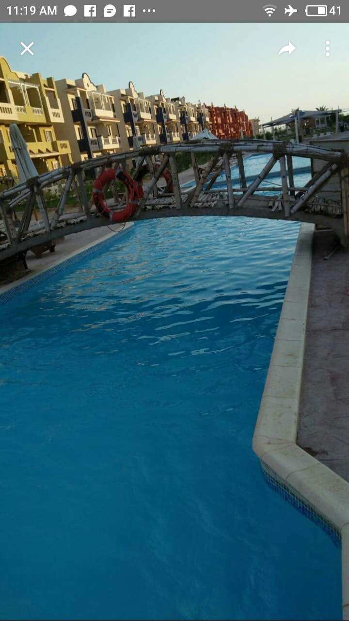 صورة 8